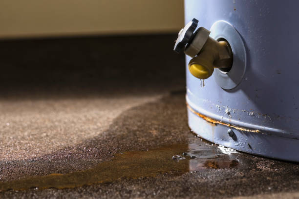Local water damage restoration in Acton, CA