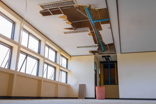 Best Flood restoration services  in Acton, CA