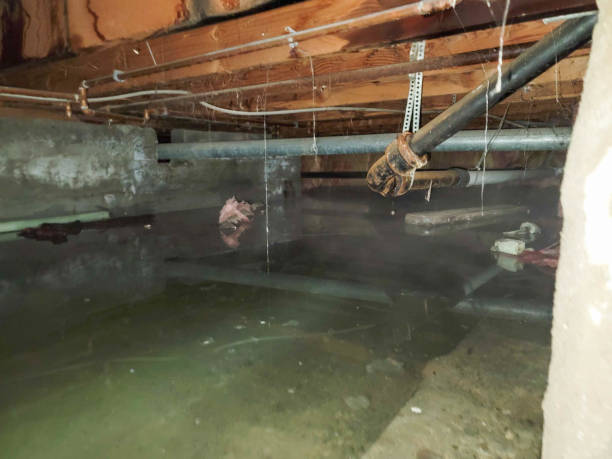 Fire Damage Restoration in Acton, CA