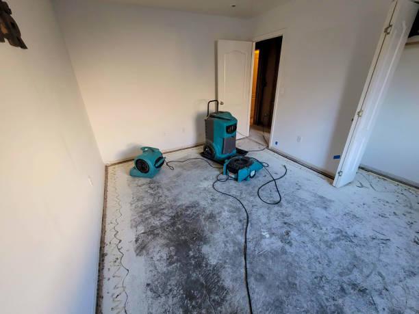 Best Carpet water damage restoration  in Acton, CA