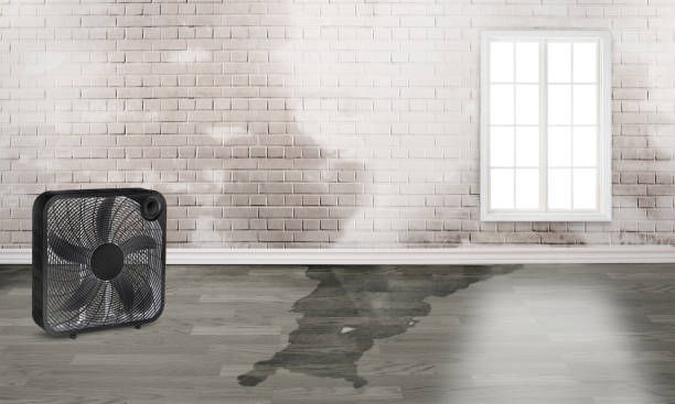 Best Water damage restoration near me  in Acton, CA