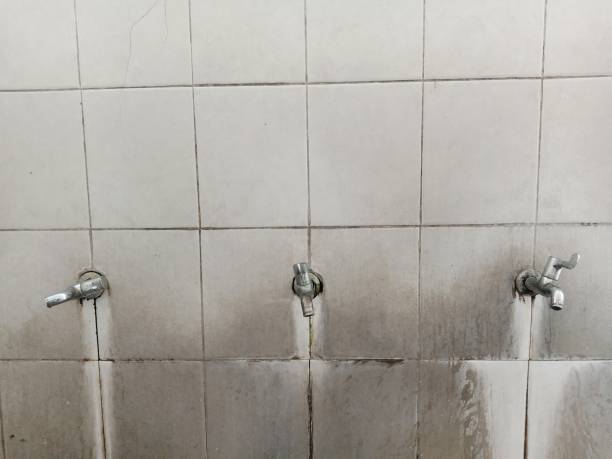  Acton, CA Water damage restoration Pros