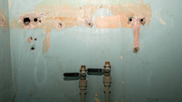 Best Water damage restoration near me  in Acton, CA