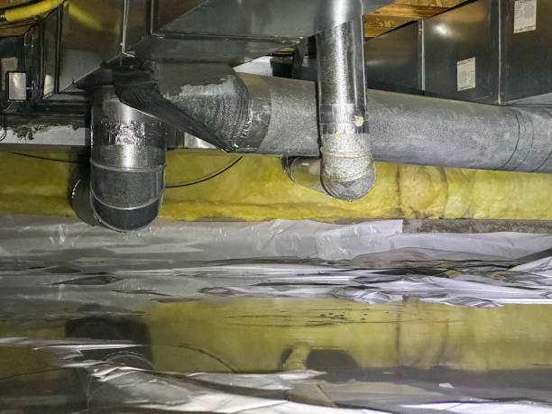 Best Professional water damage repair  in Acton, CA