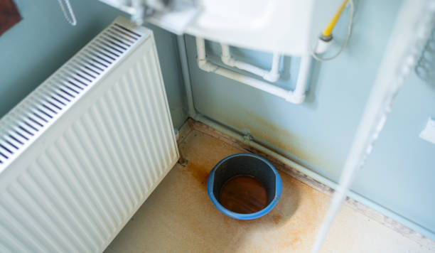 Best Basement water damage restoration  in Acton, CA