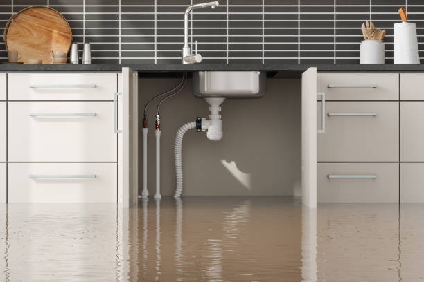 Best 24-hour water damage restoration  in Acton, CA