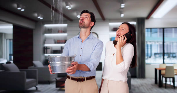 Best Water damage restoration specialists  in Acton, CA